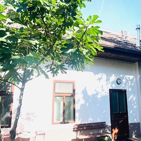 Jokai Apartman โคมาร์โน ภายนอก รูปภาพ